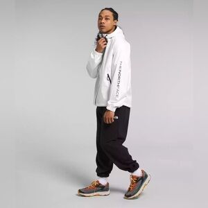 the north face men's novelty rain hoodie